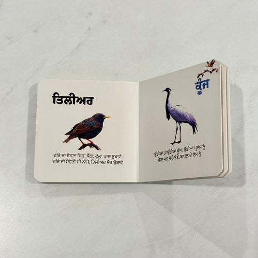 Play & Learn Punjabi Card Books